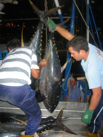 L'arrivée des pécheurs à San-Juan